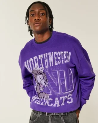 Camisola com capuz e estampa gráfica da Northwestern University Wildcats
