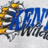 Hoodie com padrão gráfico da Universidade de Kentucky Wildcats
