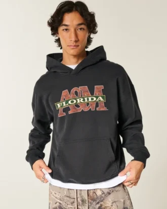 Moletom com capuz e estampa da Florida A&M University Rattlers
